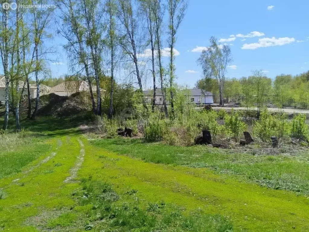 Участок в Новосибирская область, рабочий посёлок Ордынское, Урожайная ... - Фото 1