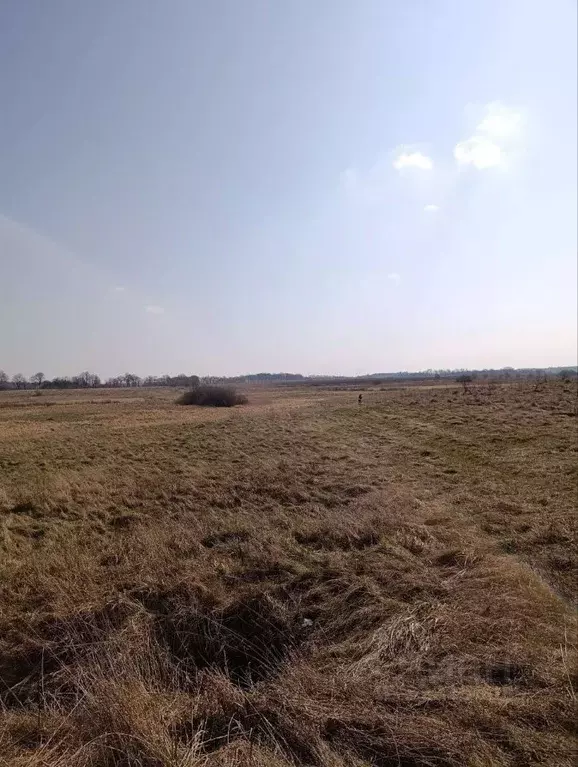 Участок в Калининградская область, Зеленоградский муниципальный округ, ... - Фото 2