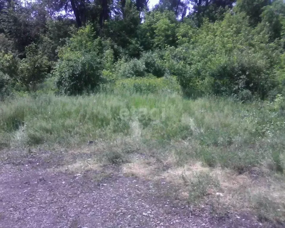 Участок в Башкортостан, Ишимбайский район, Скворчихинский сельсовет, ... - Фото 1