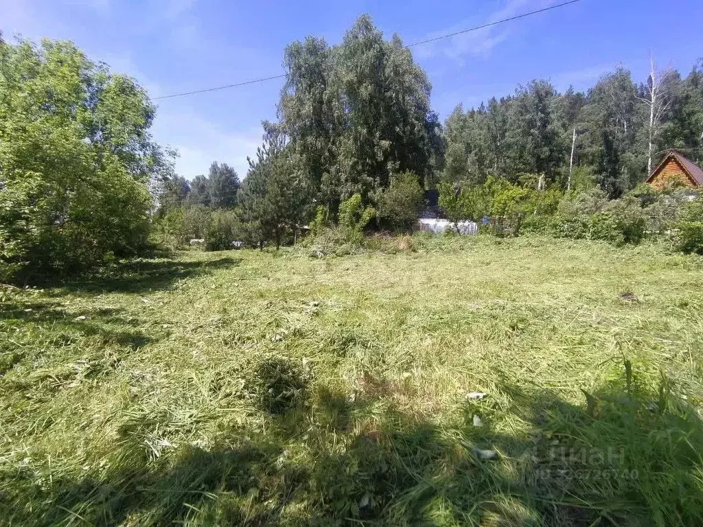 Участок в Алтай, Майминский район, пос. Рыбалка Дачная ул. (7.0 сот.) - Фото 1