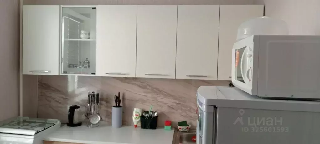 1-к кв. Пензенская область, Пенза ул. Терновского, 166 (37.0 м) - Фото 2