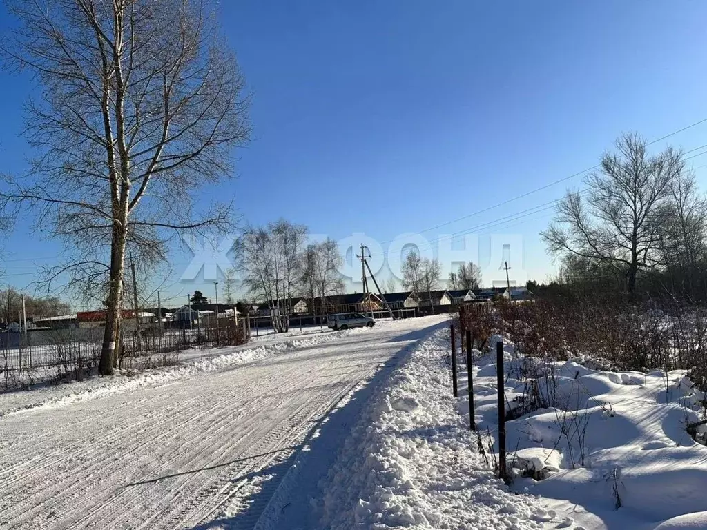 Участок в Новосибирская область, Новосибирский район, Кубовинский ... - Фото 2