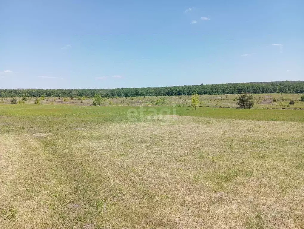 Участок в Белгородская область, Старооскольский городской округ, с. ... - Фото 0