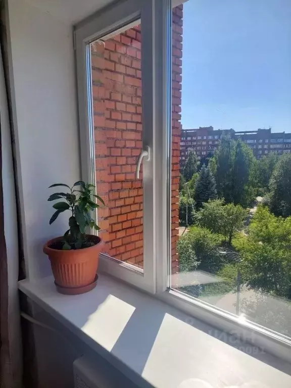 1-к кв. Московская область, Пущино Серпухов городской округ, АБ мкр, ... - Фото 2