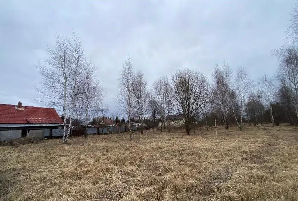 Участок в Московская область, Раменский муниципальный округ, Центр СНТ ... - Фото 1