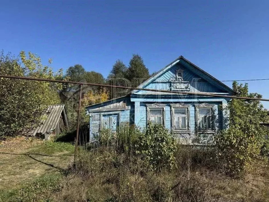 Дом в Пензенская область, Бессоновский район, с. Вазерки ул. ... - Фото 0