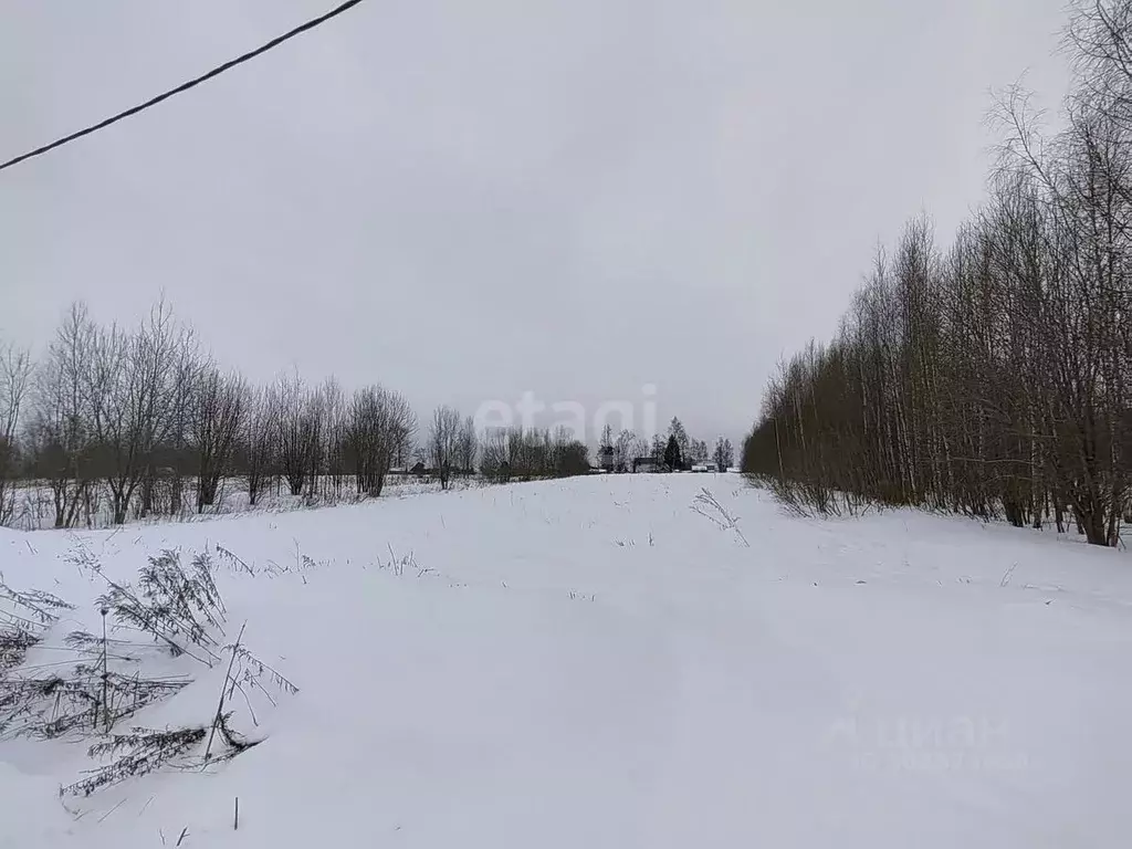 Участок в Ярославская область, Ярославский район, Заволжское с/пос, д. ... - Фото 0