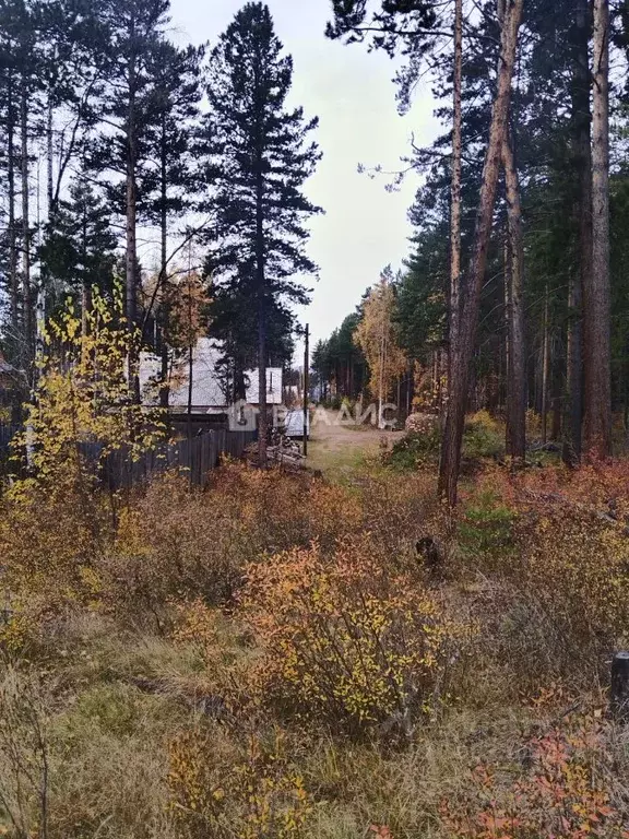 Участок в Бурятия, Прибайкальский район, с. Горячинск ул. Горячинская ... - Фото 1