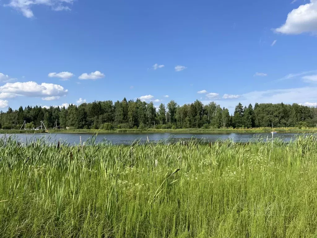 Участок в Московская область, Наро-Фоминский городской округ, д. ... - Фото 0