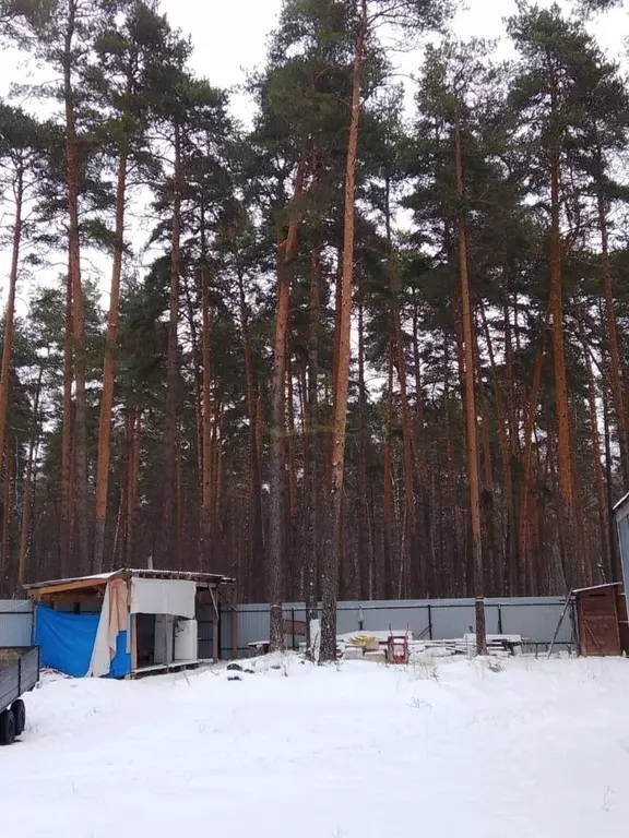 Участок в Московская область, Люберцы городской округ, Малаховка пгт ... - Фото 0