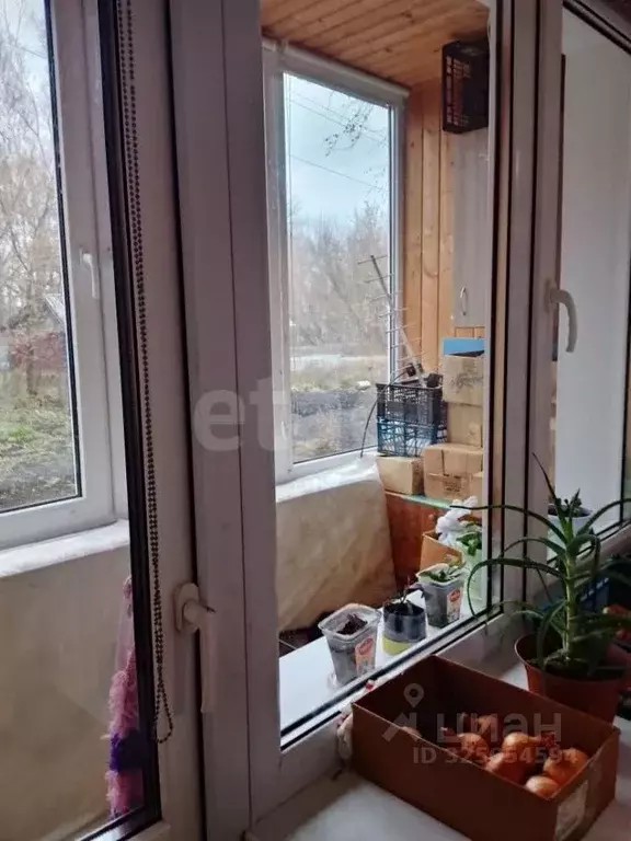 1-к кв. Мордовия, пос. Ромоданово ул. Дорожная, 4 (34.1 м) - Фото 2