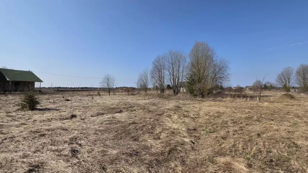 Участок в Ленинградская область, Волосовский район, Калитинское с/пос, ... - Фото 1