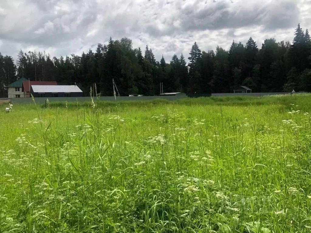 Участок в Московская область, Одинцовский городской округ, с. ... - Фото 2