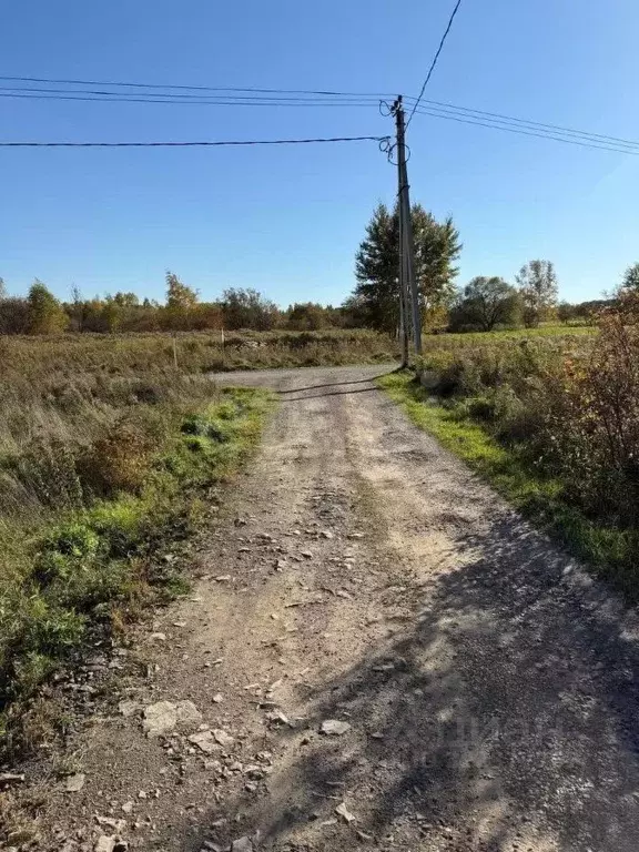 Участок в Хабаровский край, Хабаровский район, Тополевское с/пос, ... - Фото 1