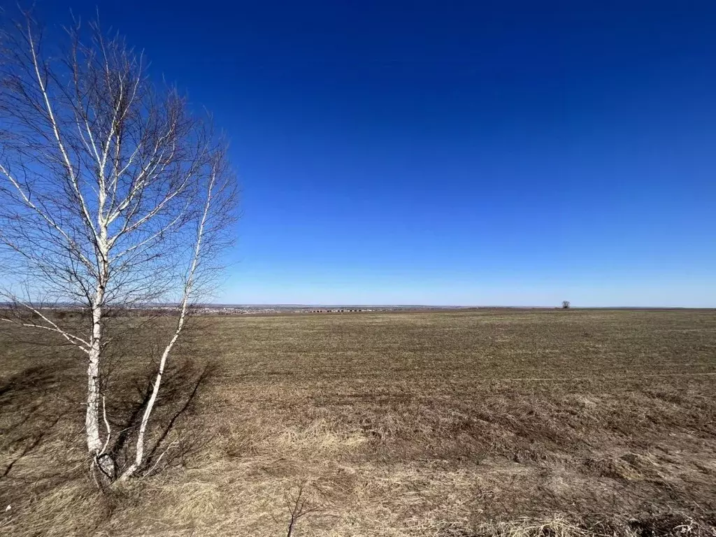 Участок в Татарстан, с. Высокая Гора ул. Пятилетка, 11 (10.0 сот.) - Фото 0
