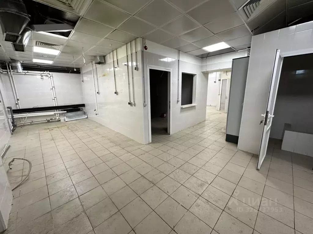 Помещение свободного назначения в Самарская область, Тольятти ... - Фото 1