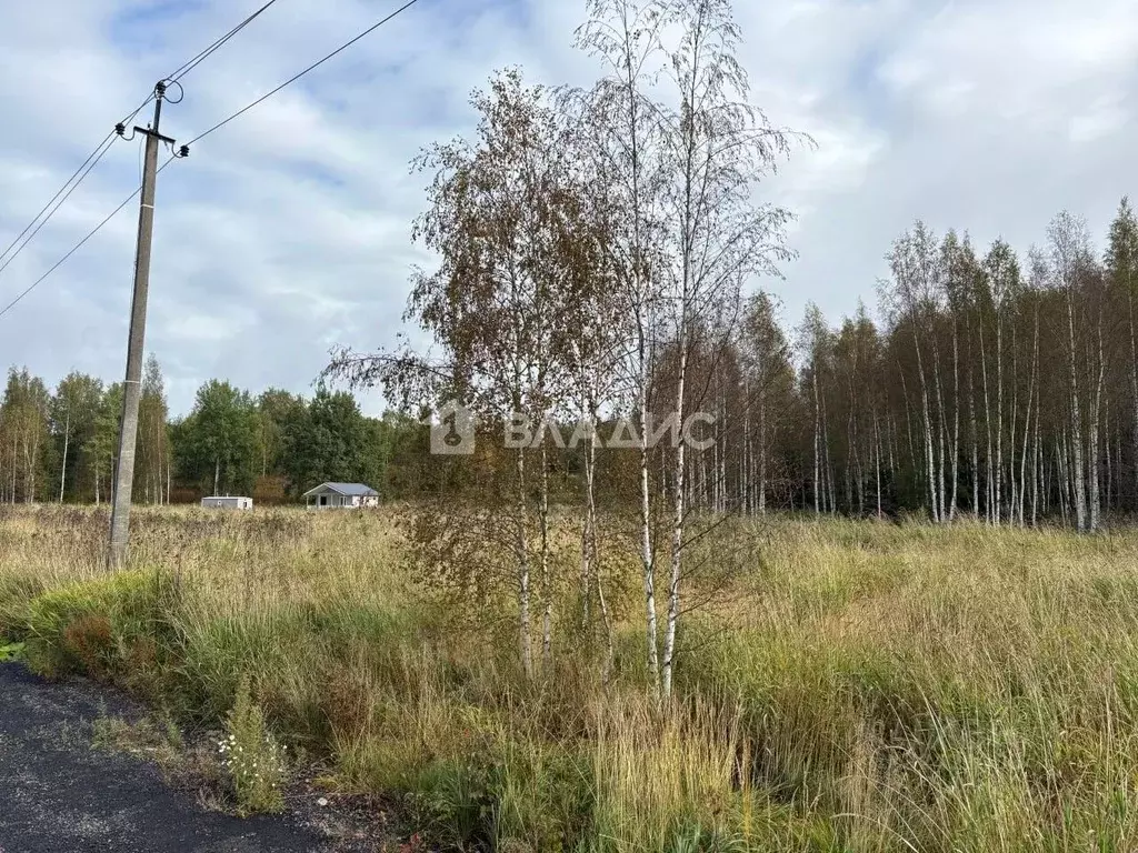 Участок в Ленинградская область, Всеволожский район, Куйвозовское ... - Фото 2