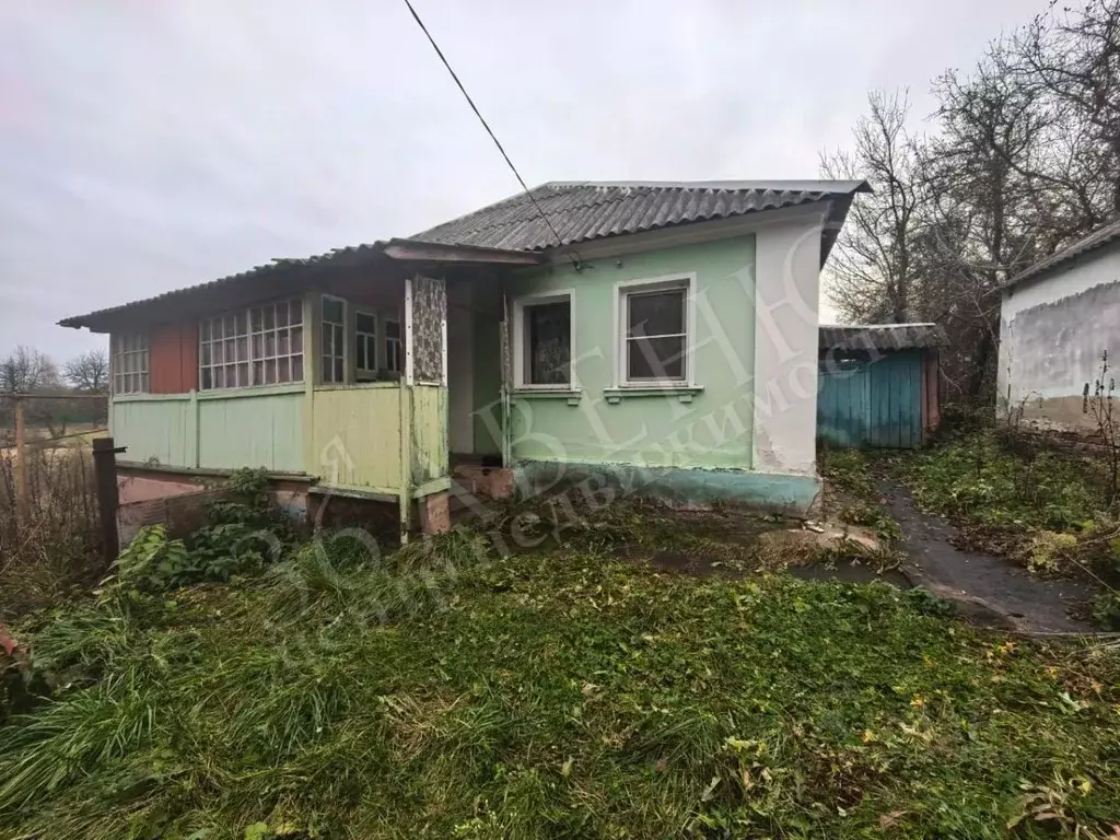 Дом в Воронежская область, Хохольский рп ул. Бреусовой, 94 (57 м) - Фото 1