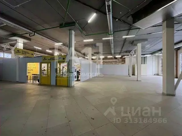 Торговая площадь в Челябинская область, Челябинск ул. Чичерина, 12 ... - Фото 1