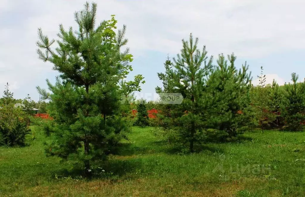 Участок в Московская область, Одинцовский городской округ, пос. ... - Фото 1