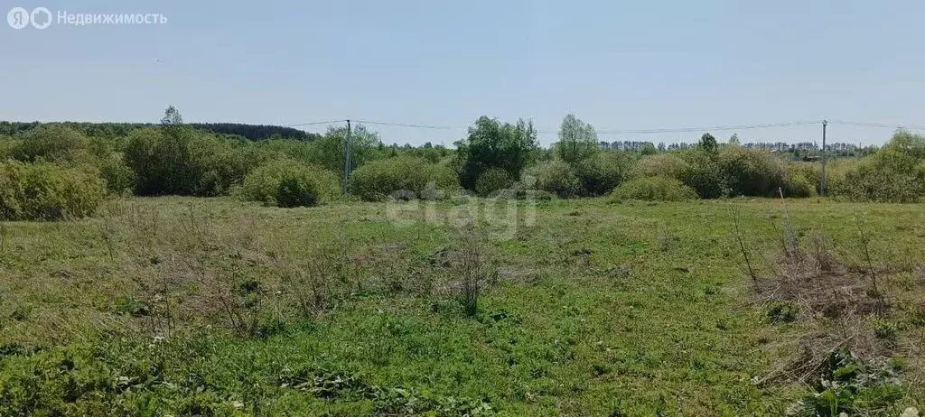 Участок в Лямбирский район, Берсеневское сельское поселение, село ... - Фото 1