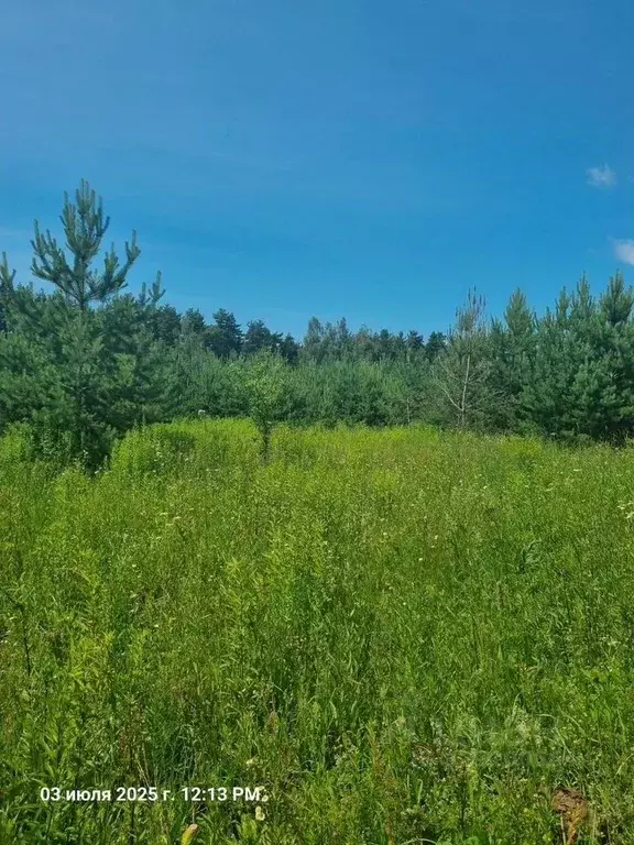 Участок в Московская область, Ступино городской округ, Новое ... - Фото 2