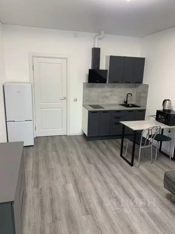 Студия Санкт-Петербург просп. Буденного, 15 (25.0 м) - Фото 1