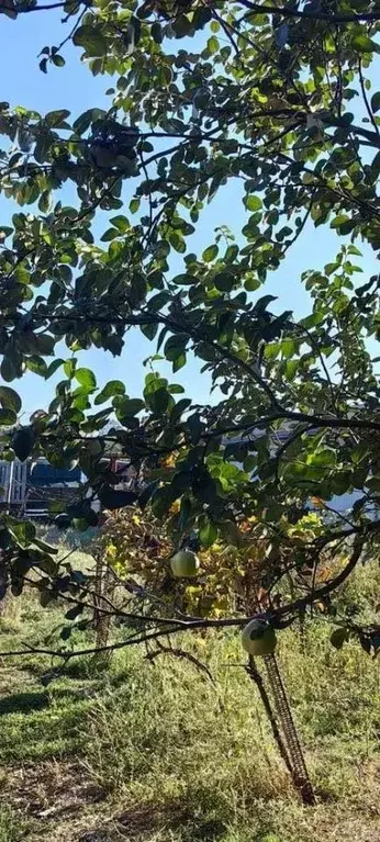 Участок в Краснодарский край, Динской район, Новотитаровское с/пос, ... - Фото 2