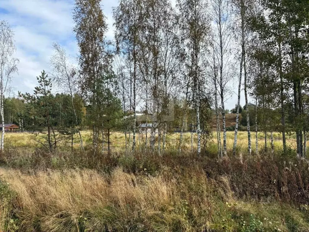 Участок в Ленинградская область, Всеволожский район, Куйвозовское ... - Фото 2