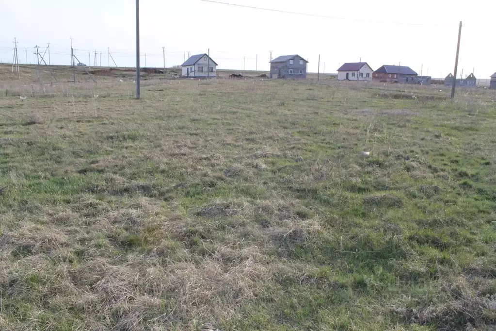 Участок в Оренбургская область, Октябрьский район, Имангуловский ... - Фото 1