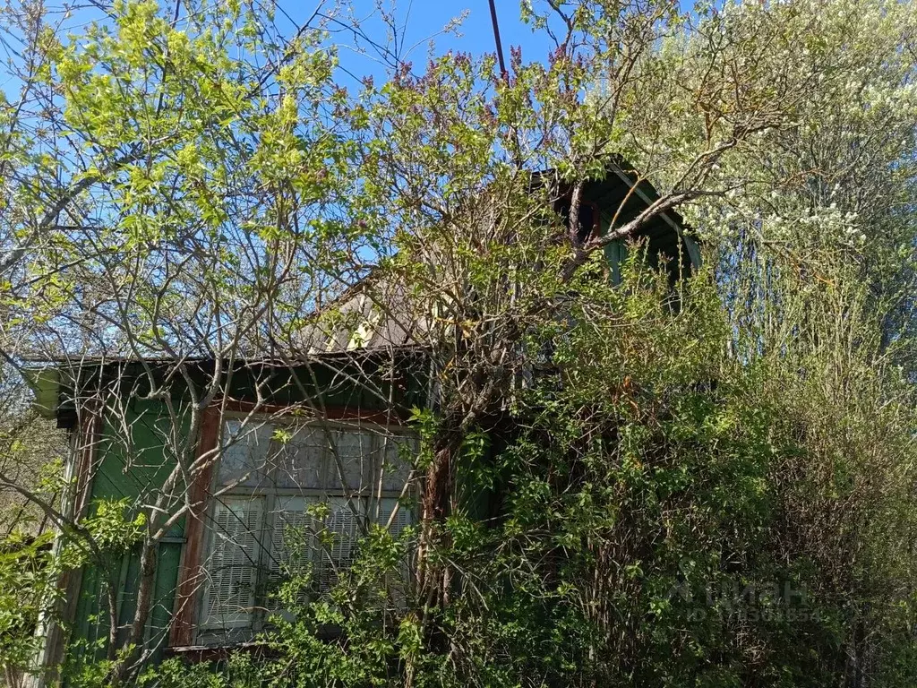 Дом в Владимирская область, Владимир 50-летия Победы СНТ, 90 (24 м) - Фото 1