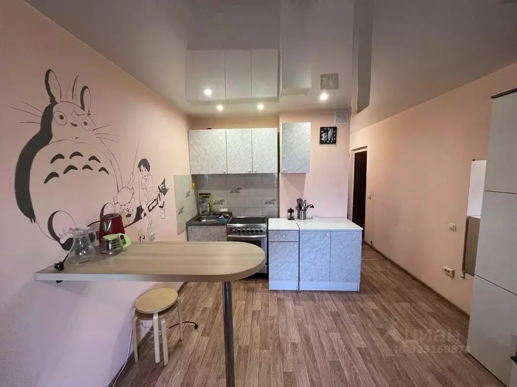 Студия Новосибирская область, Новосибирск ул. Виктора Уса, 7 (26.0 м) - Фото 1