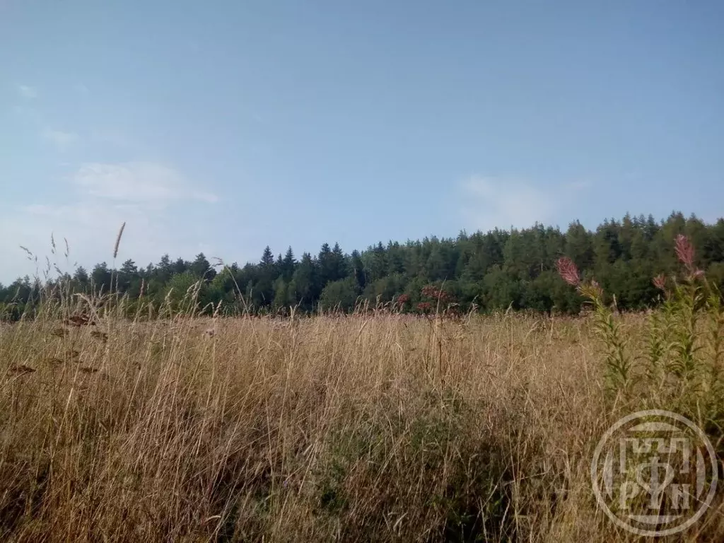 Участок в Карелия, Лахденпохский муниципальный округ, пос. Асилан  ... - Фото 2
