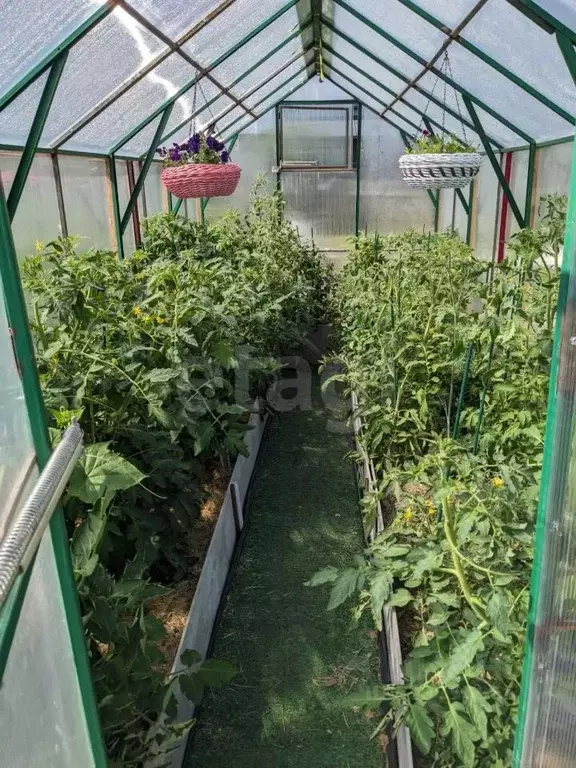 Участок в Новосибирская область, Новосибирский район, Мочищенский ... - Фото 2