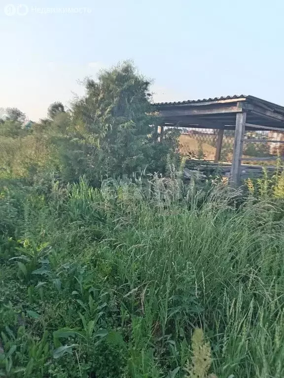 Участок в село Киреевск, улица Карла Маркса (29.9 м) - Фото 1