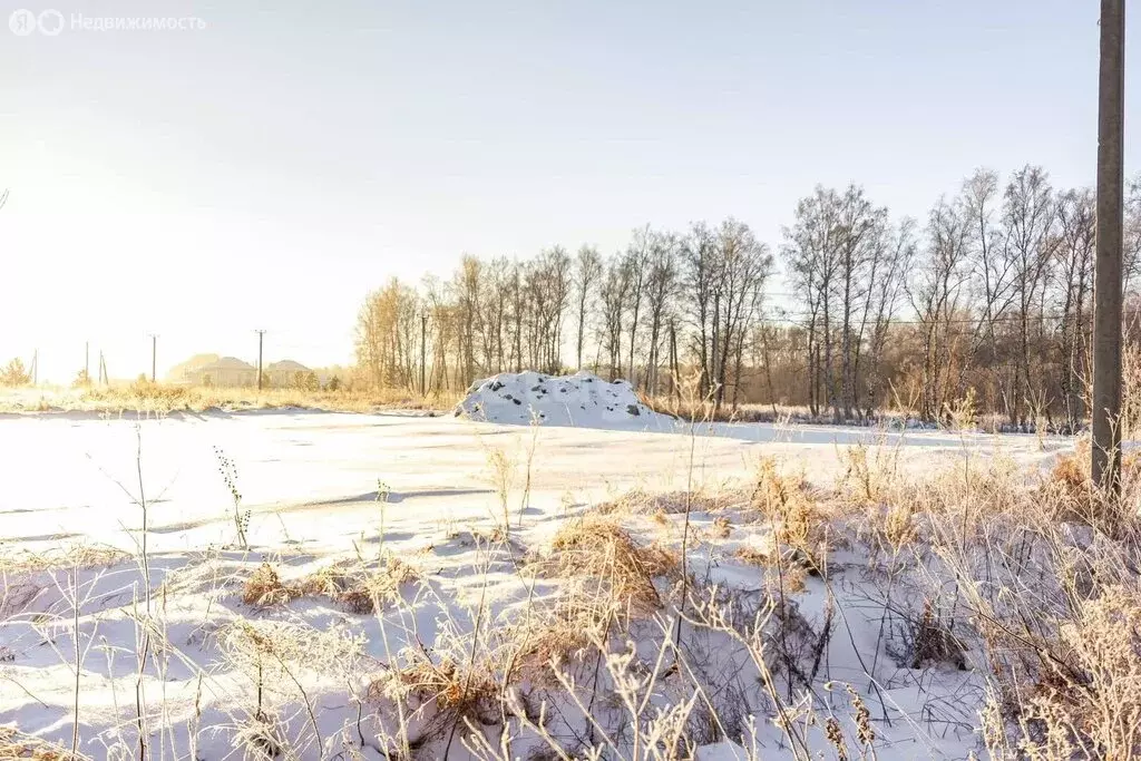 Участок в Бердск, микрорайон Раздольный (17.6 м) - Фото 1