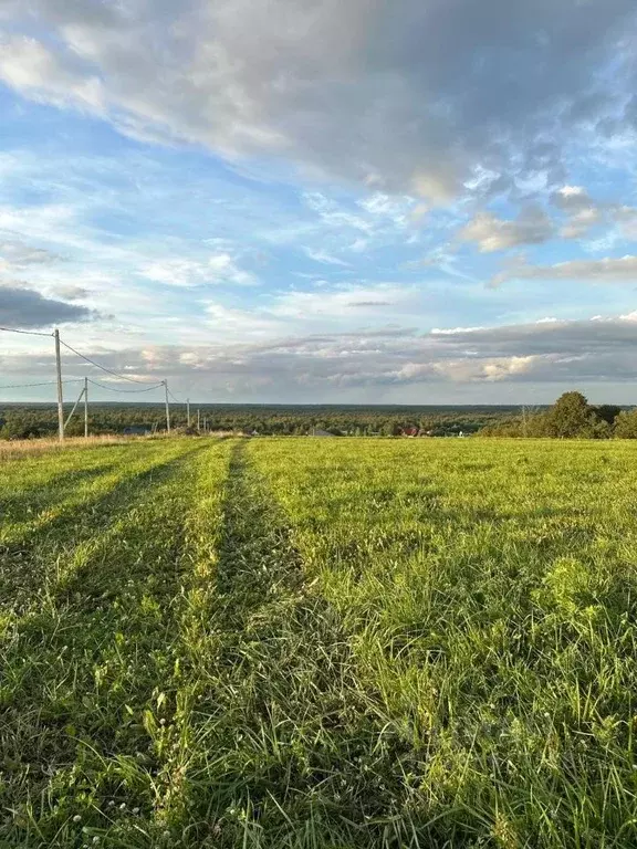 Участок в Ленинградская область, Ломоносовский район, Ропшинское ... - Фото 1