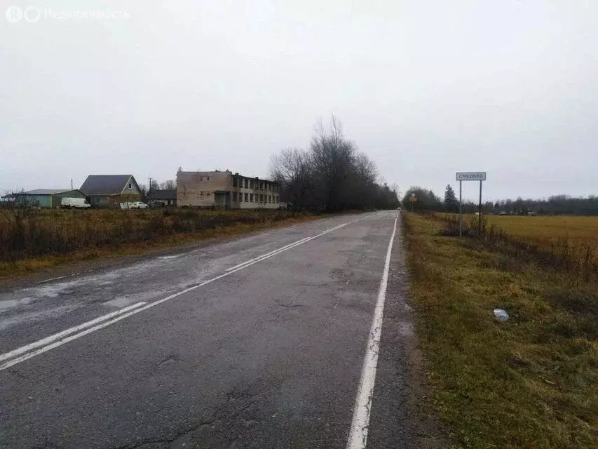 Участок в Волосовский район, Бегуницкое сельское поселение, деревня ... - Фото 1