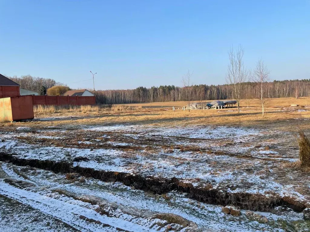 Участок в Московская область, Домодедово городской округ, д. Михеево  ... - Фото 1