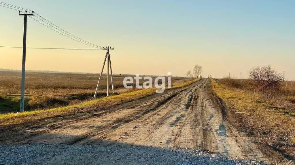 Участок в Новосибирская область, Колыванский район, Большая Семья СНТ  ... - Фото 2