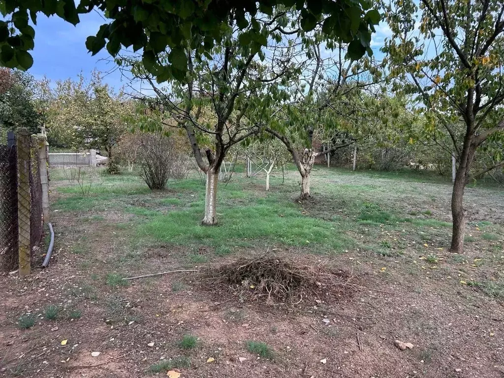 Участок в Севастополь Мрия садоводческое товарищество, 322 (4.1 сот.) - Фото 1