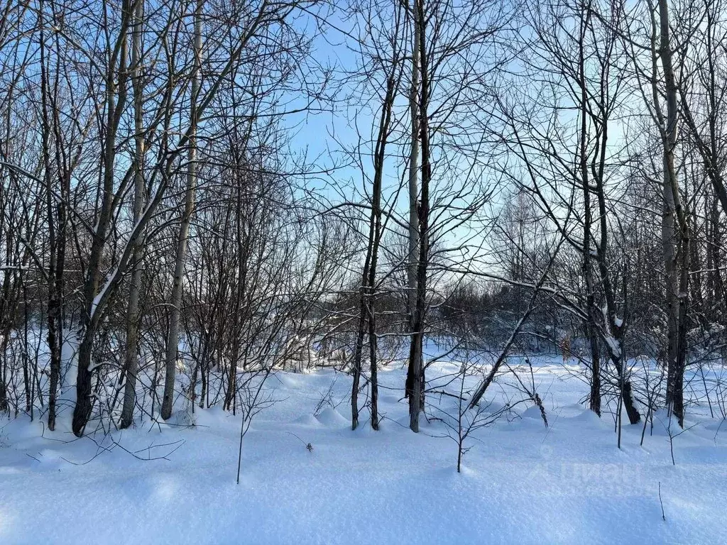 Участок в Московская область, Павлово-Посадский городской округ, д. ... - Фото 1