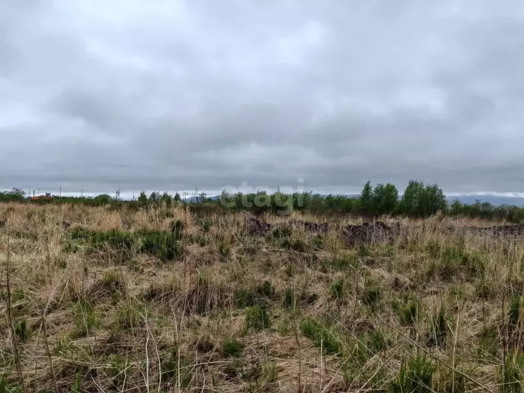 Участок в Камчатский край, Елизово А-401, 28-й км (99.9 сот.) - Фото 0