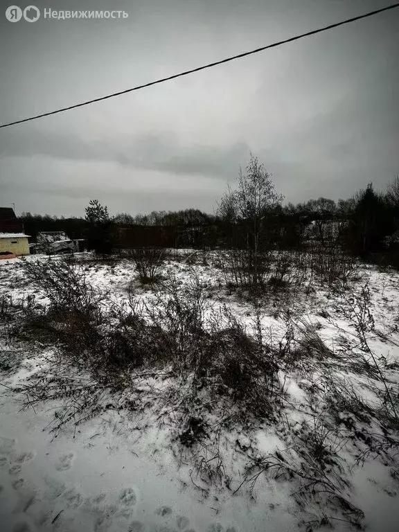 Участок в Новгородская область, Маловишерское городское поселение, ... - Фото 2