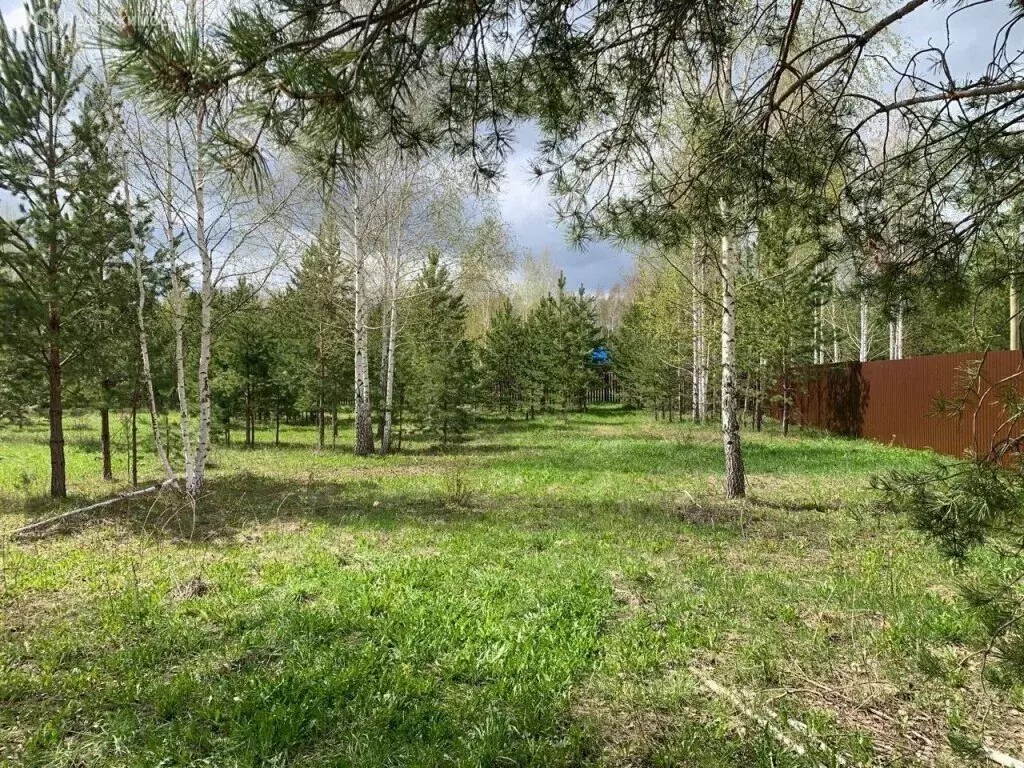 Участок в Свердловская область, Белоярский муниципальный округ, ДНП ... - Фото 2