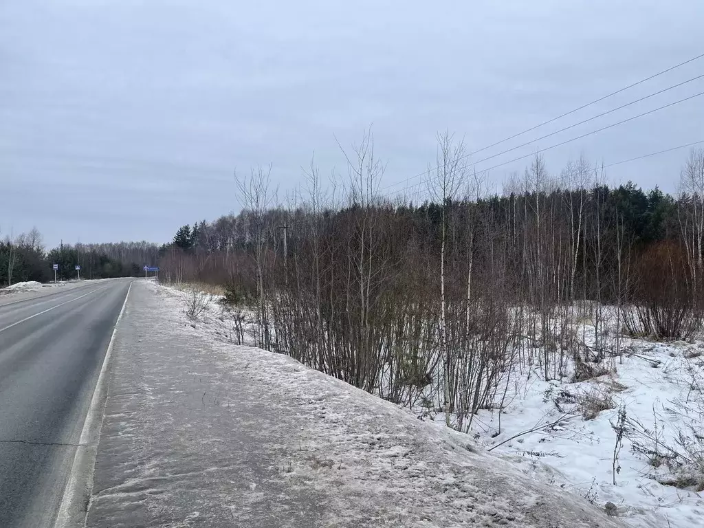 Участок в Владимирская область, Судогодский район, Лавровское ... - Фото 0