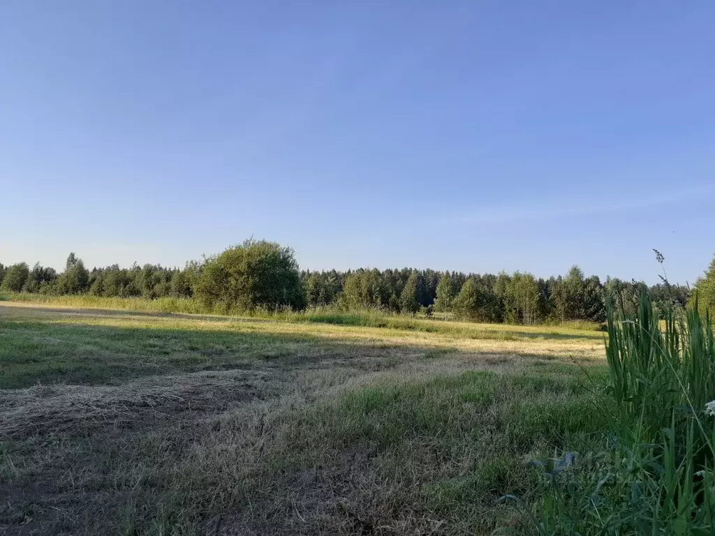 Участок в Ленинградская область, Выборгский район, Красносельское ... - Фото 0