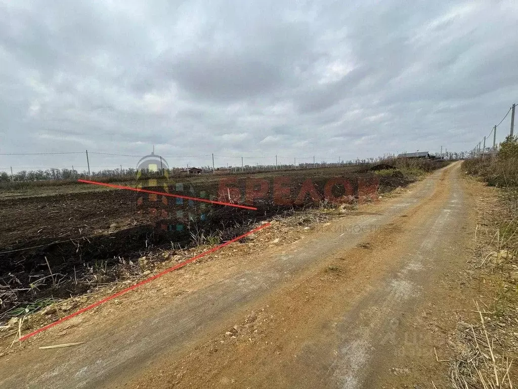 Участок в Ростовская область, Мясниковский район, Краснокрымское ... - Фото 1