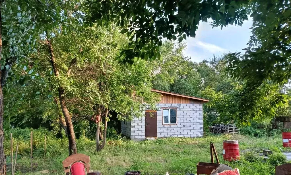 Участок в Амурская область, Благовещенск Рабочая ул., 31 (8.0 сот.) - Фото 0
