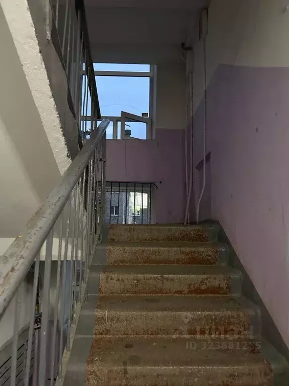 2-к кв. Пермский край, Пермь ул. Тургенева, 18/3 (41.3 м) - Фото 2